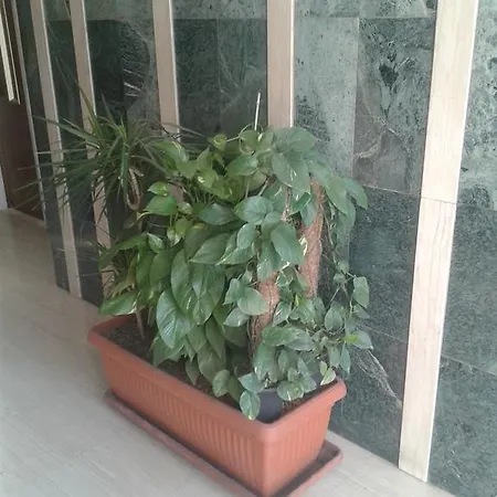 Appartement Casa Vacanze Happio